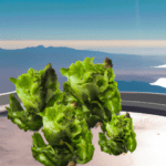 Cómo las granjas hidropónicas están haciendo posible comer lechuga fresca en Marte